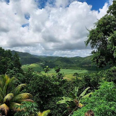 Appartement T2 Le Vallon Au Marin Martinique Le Marin Kültér fotó